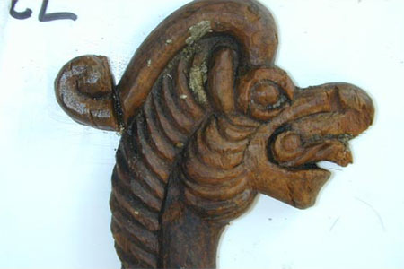 Lion cornu