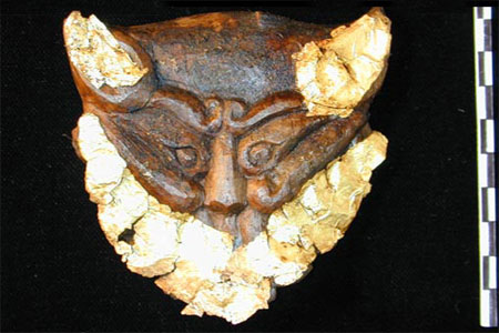 Masque de félin barbu