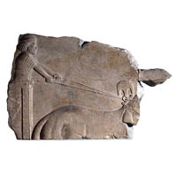 l'objet de la semaine