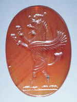 l'objet de la semaine