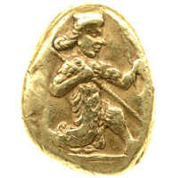 the object of the week