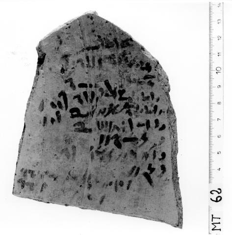 Ostracon d'Ayn Manâwir 3389