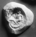 seal impression on clay (Legrain 734)
