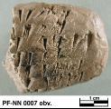 Persepolis Fortification tablet NN 0007