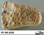 Persepolis Fortification tablet NN 0059