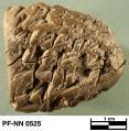Persepolis Fortification tablet NN 0525