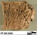 Persepolis Fortification tablet NN 0560