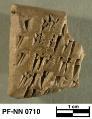 Persepolis Fortification tablet NN 0710