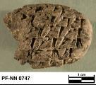 Persepolis Fortification tablet NN 0747