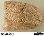 Persepolis Fortification tablet NN 0822