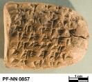 Persepolis Fortification tablet NN 0857