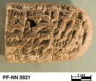 Persepolis Fortification tablet NN 0921