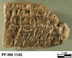 Persepolis Fortification tablet NN 1145