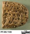 Persepolis Fortification tablet NN 1169