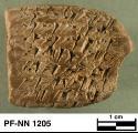 Persepolis Fortification tablet NN 1205