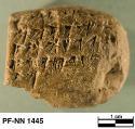 Persepolis Fortification tablet NN 1445