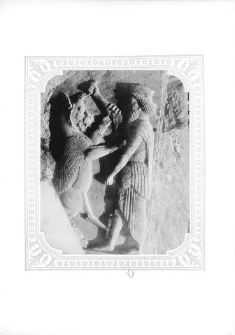 Persépolis, palais de Darius, bas-relief